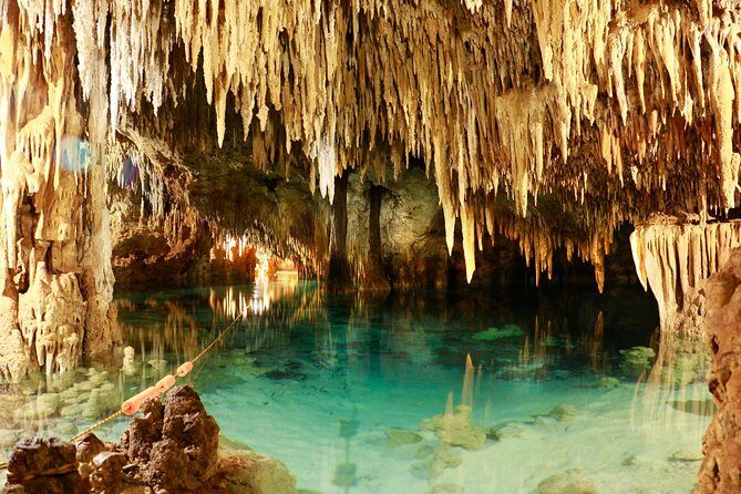 Half-Day Sea Turtle and Cenote Snorkeling Tour from Cancun & Riviera Maya - FAQ