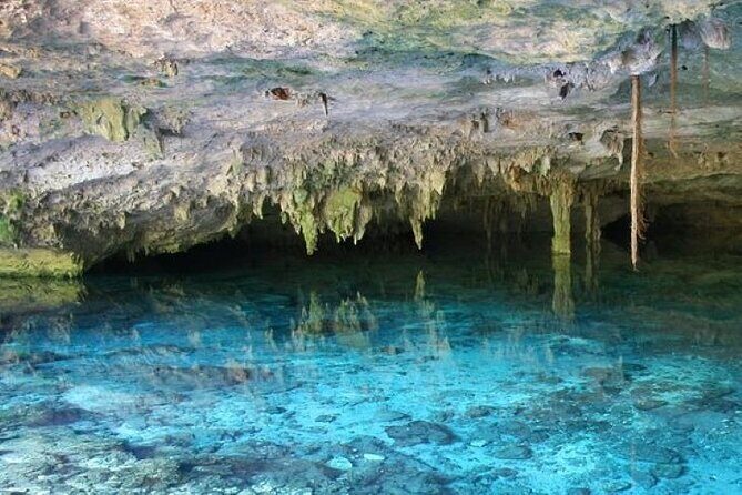 Half Day Semiprivate Snorkeling with Turtles and Majestic Cenote - The Turtle Conservation Fee: Know It Before You Hand Over Money
