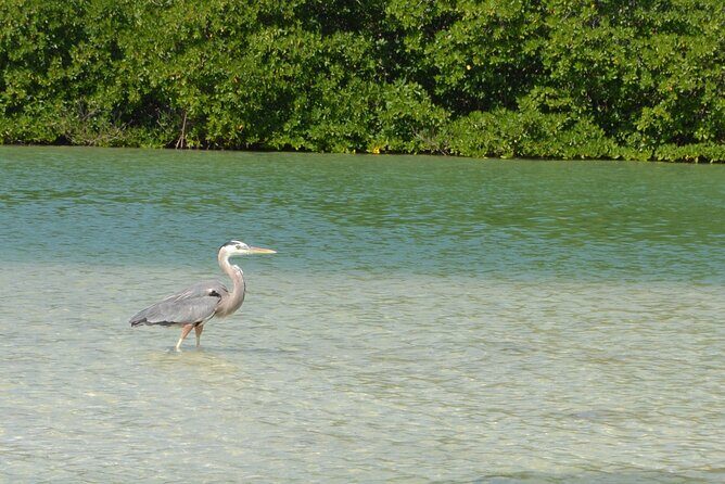 Half-Day Tour Discovering Sian Ka´an with Lunch - Stop 2 Boca Paila plus reef snorkeling: when weather decides