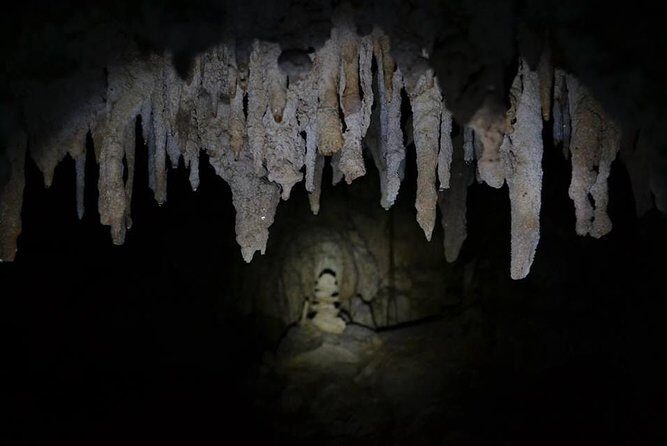 Hidden Cenote exploration in Playa del Carmen - What’s Included vs. What You Might Need to Add
