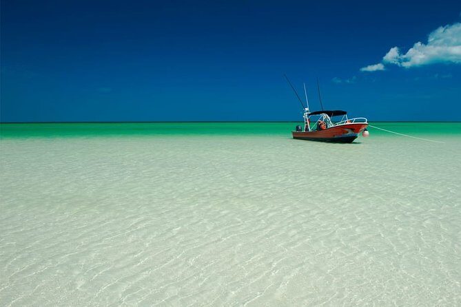 Holbox Island Full Day Trip with Lunch From Playa del Carmen - Lunch by the Water: Fish or Chicken, Salad and Rice, Vegetarian Option