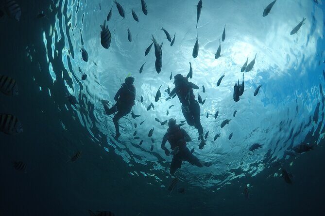 Invisible Boat Snorkeling Tour - Why an Invisible Boat is such a smart Cozumel idea