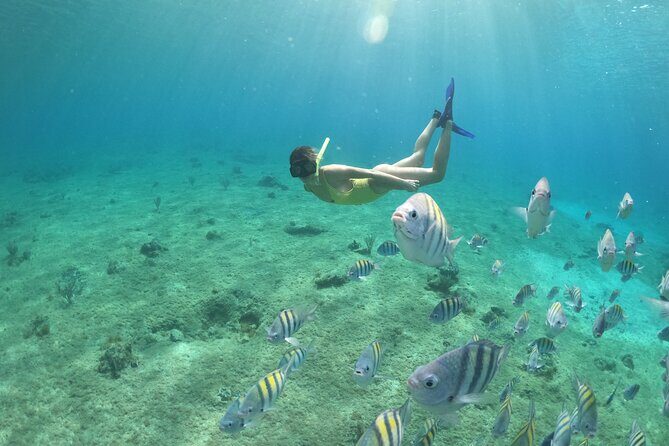 Invisible Boat Snorkeling Tour - Getting on board: clear hull fun, but watch your footing
