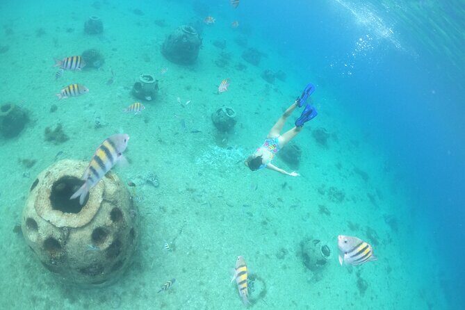 Invisible Boat Snorkeling Tour - What happens during the cruise: where you’ll actually see marine life