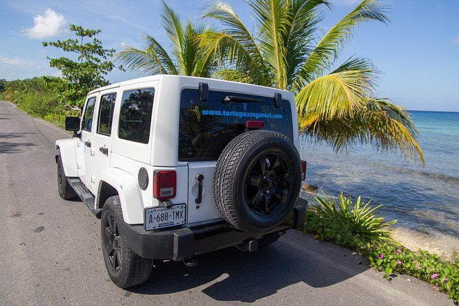 Jeep Exploration & All Inclusive Tortugas Beach Break (Private) - The Most Important Detail: You Drive the Jeep