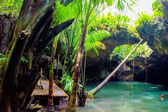 Jeep Safari All Inclusive Private Tour - Key highlights if you want the best bang for your 4–5 hours