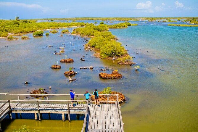 Jeep Safari All Inclusive Private Tour - Coco’s Beach Club finish: lunch, loungers, and a real swim option