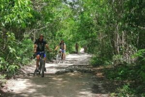 Jungle Bike Tour from Playa del Carmen with Bath in a Cenote - The jungle bike ride: about 16 km of dirt roads, flora, and a real sense of place
