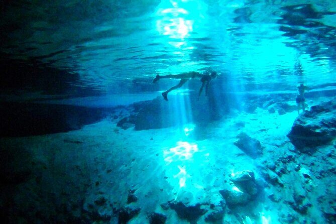 Jungle Bike Tour from Playa del Carmen with Bath in a Cenote - Price and value: $83.64 for small-group adventure plus real guidance