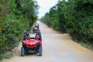 Jungle Buggy Tour from Playa del Carmen Including Cenote Swim - Price and Value: Is $110.29 a Good Deal?