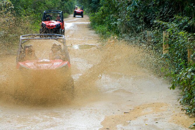 Jungle Buggy Tour from Playa del Carmen Including Cenote Swim - Cenote Cave Swim and Snorkel: The Break That Makes the Tour