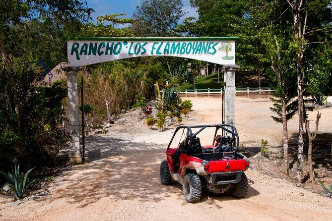 Jungle Buggy Tour from Playa del Carmen Including Cenote Swim - Who This Tour Fits Best (and Who Should Skip)