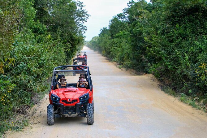 Jungle Buggy Tour from Playa del Carmen Including Cenote Swim - Price and Value: Is $110.29 a Good Deal?