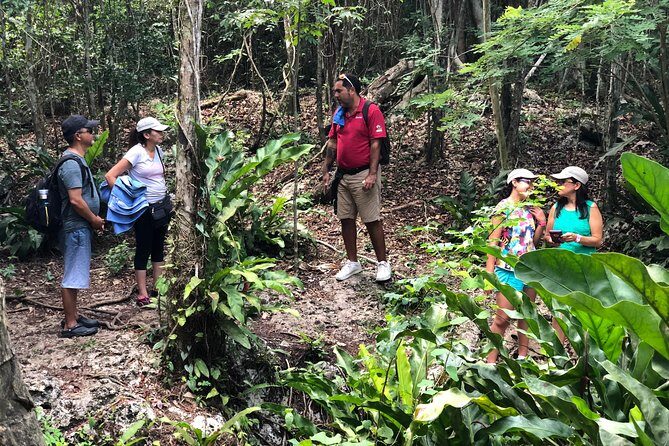 Jungle Jeep Adventure to Mayan Caves, Cenote and Snorkel - Stop 1: El Cedral for Mayan temple history and Cozumel’s first church