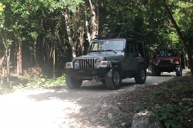 Jungle Jeep Adventure to Mayan Caves, Cenote and Snorkel - Stop 3: Cenote Aerolito de Paraiso (Jade Caverns) and the jump-in moment