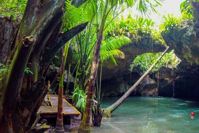Jungle Jeep Adventure to Mayan Caves, Cenote and Snorkel - Stop 2: Mi Mexico Lindo tequila factory tour and tasting reality check