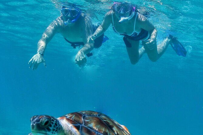 Luxury Sailing & Snorkeling Experience from Riviera Maya - Paddleboarding Time: A Fun Bonus When the Sea Allows It