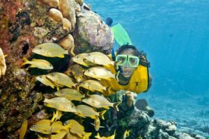 Mayan Adventure Snorkeling Tour from Playa del Carmen or Riviera Maya - Yal Ku Lagoon in Akumal: open-water snorkeling that’s more than a photo op