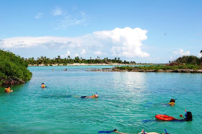 Mayan Adventure Snorkeling Tour from Playa del Carmen or Riviera Maya - Jungle cenote snorkeling: the limestone-and-light show