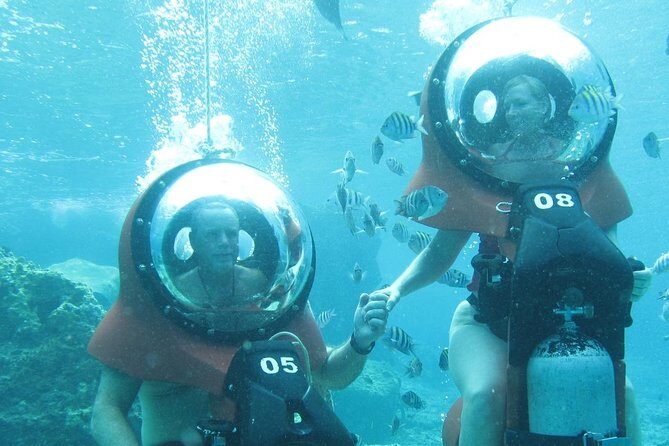 Mini-SUB Dive Tour from Cozumel - What You’ll See: Fish, Sea Creatures, and Up-Close Moments