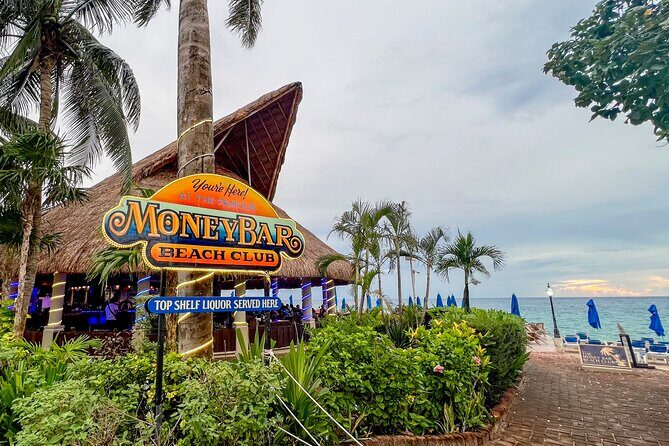 Money Bar Day Pass with Snorkel & Mexican Lunch - The real fit: who should book this Money Bar day pass