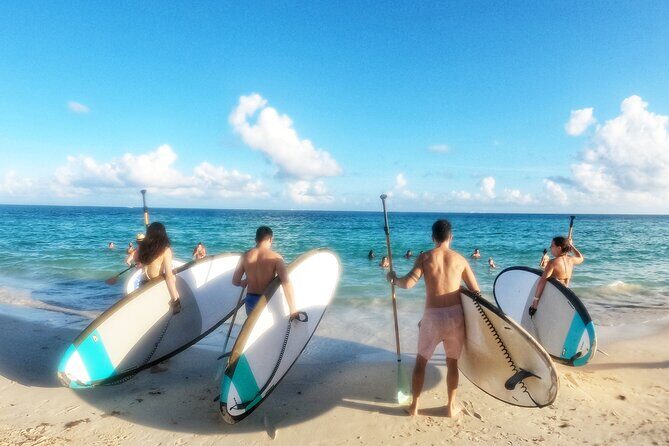 Morning Session - All Levels Paddleboard Group Caribbean Sea - Price and value: is $50 a good deal?