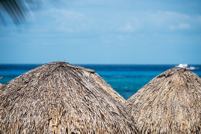 Mr. Sanchos Beach Club All-Inclusive Day Pass - Beach setup: hammocks, chairs, lockers, and restrooms