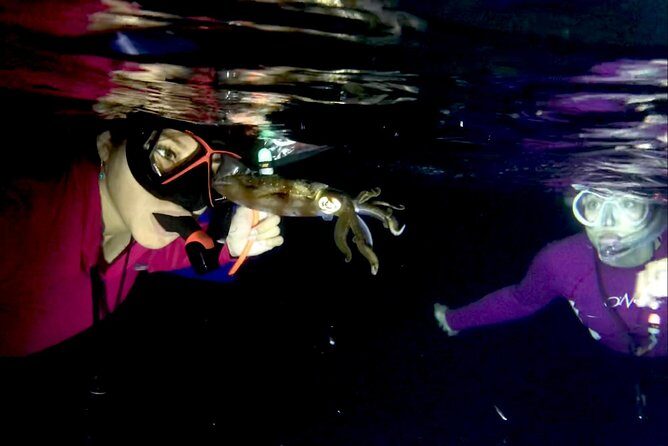 Night Snorkeling - Observation of octopus and other species - Who This Tour Fits (and Who Might Want Daytime)