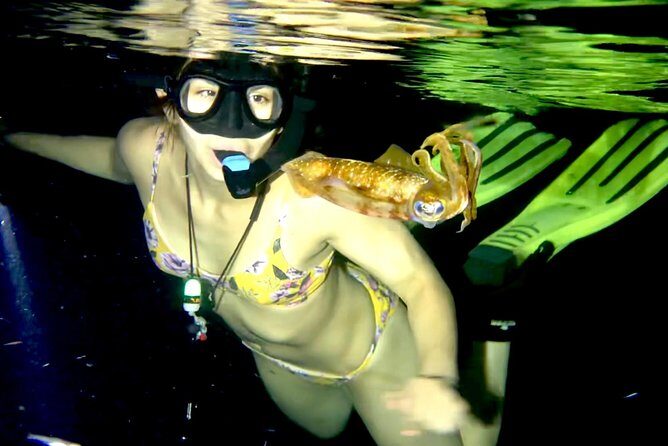 Night Snorkeling - Observation of octopus and other species - What Happens Before You Enter: Safety Briefing, Team Rules, and Gear