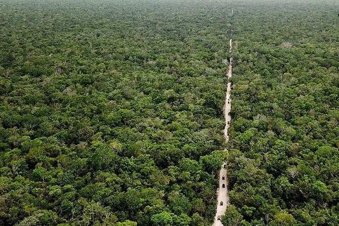 Off Road ATV Tour at the Akumal Monkey Rescued Animals Sanctuary - Price and Value: Is This Worth $159?