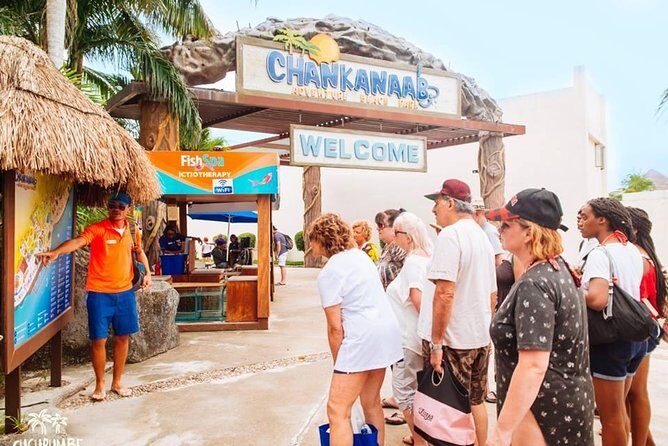 Official Chankanaab Beach Park Day pass with Snorkel - Beach time at palapas and hammocks: why you’ll enjoy the non-snorkel part