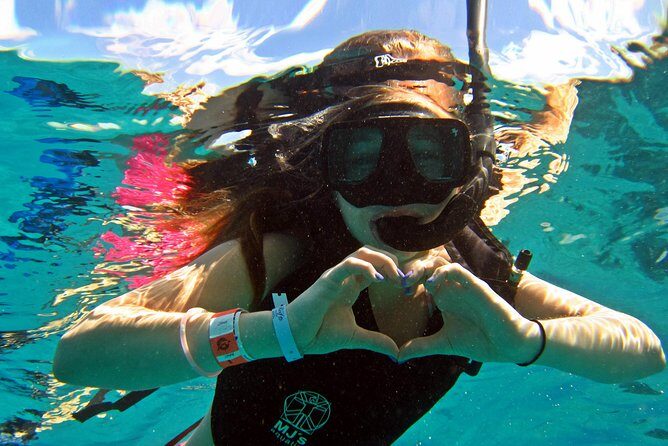 Official Chankanaab Beach Park Day pass with Snorkel - Chankanaab Reef and the National Reef Marine Park: what you can spot