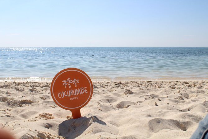 Official Chankanaab Park Day pass and Snorkel with Lunch included - Lunch by the Water: How the Included Meal Really Works