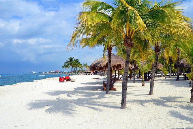 Official Chankanaab Park Day pass and Snorkel with Lunch included - Who This Tour Suits Best (and Who Should Skip It)