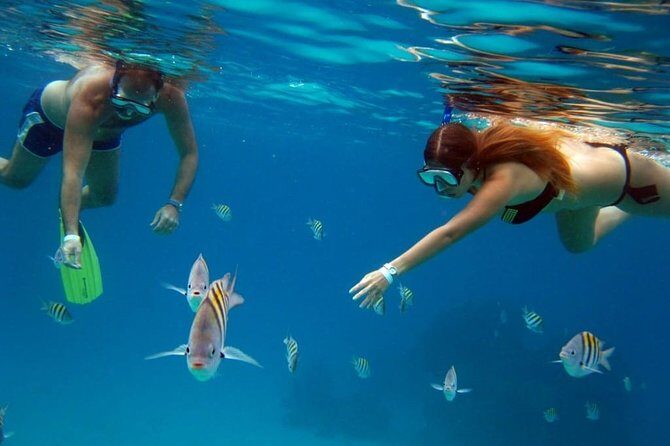Official Chankanaab Park Day pass and Snorkel with Lunch included - Stop 1: Chankanaab Adventure Beach Park (Mayan Replicas, Sea Lions, Tequila)