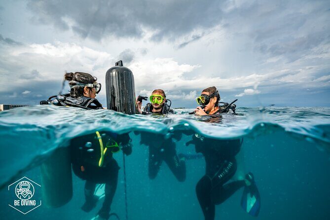 Open Water Course Cozumel - Marine conservation lessons that actually affect how you move