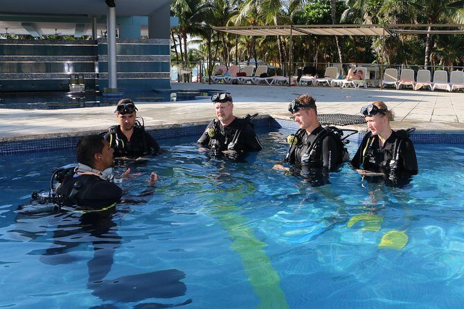 PADI Discover Scuba Diving in Playa del Carmen - Key highlights to know before you go