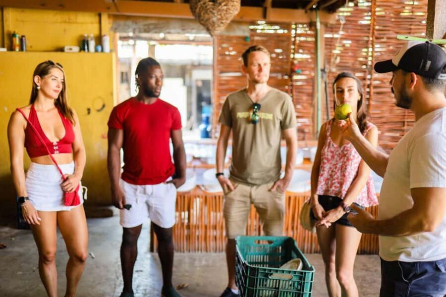 Playa del Carmen: 3-Hour Local Food Walking Tour - Popsicles at the End: Sweet, Creamy, and Sometimes Spicy