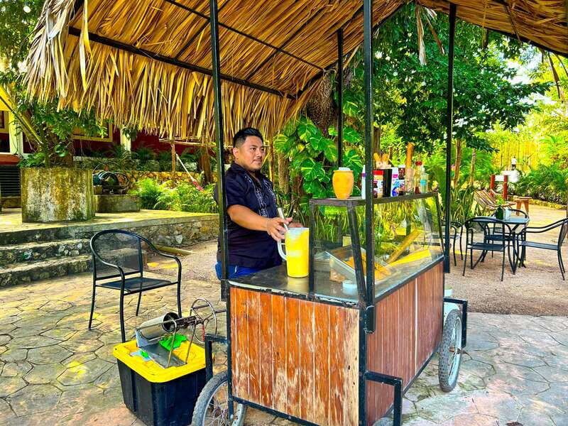 Playa del Carmen: Chichen Itza, Valladolid, Cenote & Buffet - Key Highlights You’ll Actually Feel