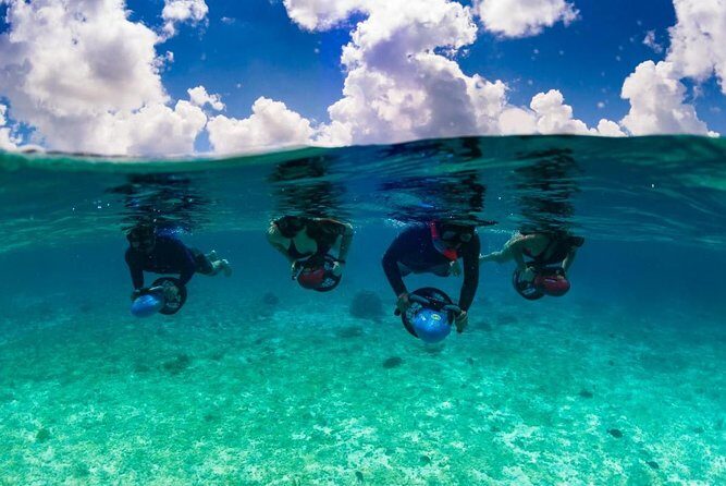 Power Snorkel by Sea Scooter & Flavored Tequila tasting - San Miguel de Cozumel by Sea Scooter: Fish, Rays, and Starfish Spots