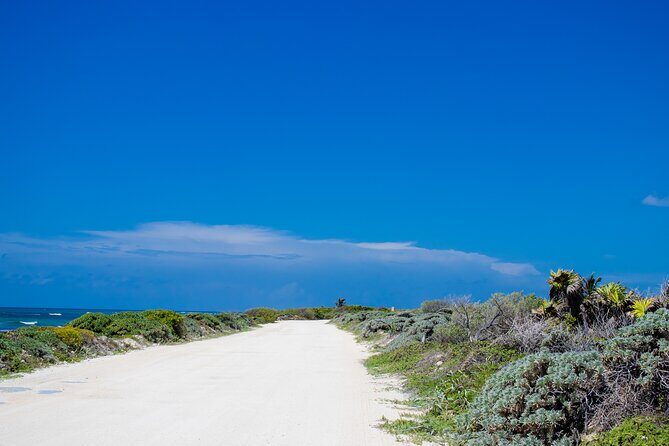 Private Buggy Tour and Punta Sur Park: All-Inclusive - Punta Sur Eco Beach Park and the Celarain lighthouse: the views and the wildlife