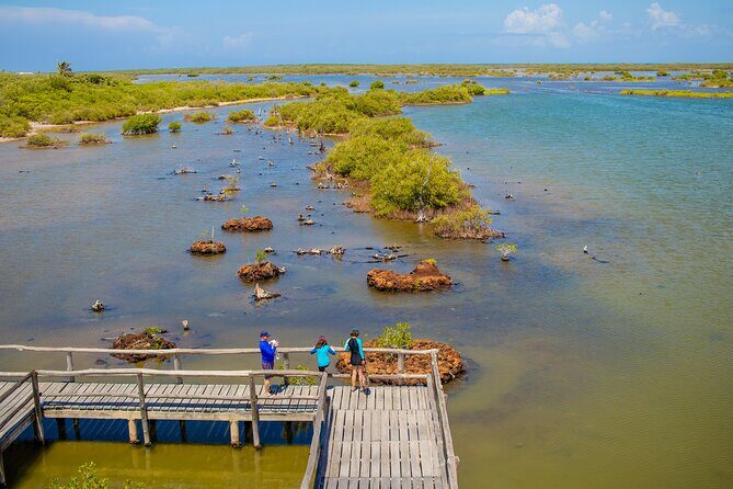Private Buggy Tour and Punta Sur Park: All-Inclusive - Sabores Cozumel: tequila plus chocolate tasting (and how to handle the sales vibe)
