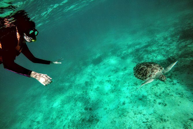 Private Cenote & Snorkeling Tour with Turtles in Akumal - A private day built around Taak Bi Ha and Akumal Bay