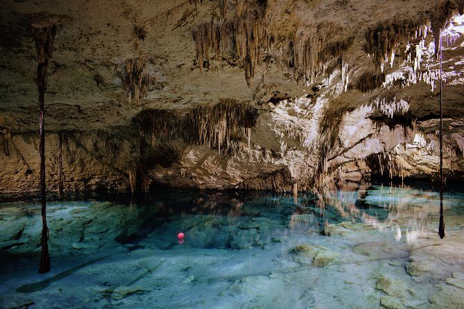 Private Cenote & Snorkeling Tour with Turtles in Akumal - Safety, gear, and comfort: how the guides make it work