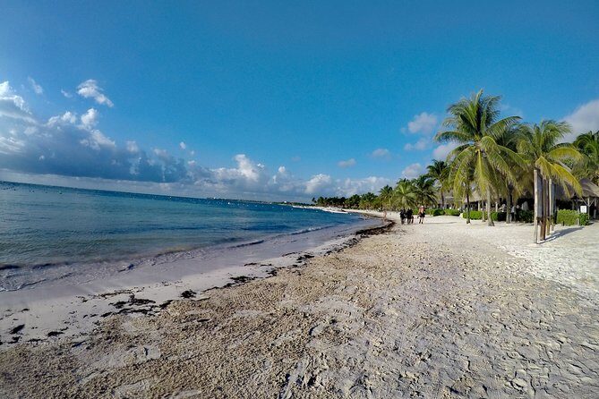 Private Cenote & Snorkeling Tour with Turtles in Akumal - Getting there without the self-drive stress (and what pickup costs)
