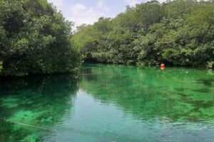 Private Cenotes tour - Cenote Nicte-ha: Cave River Magic With Real Swim Time