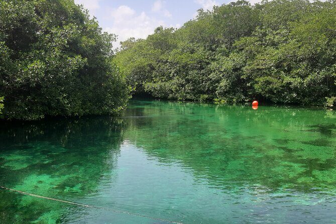 Private Cenotes tour - Cenote Nicte-ha: Cave River Magic With Real Swim Time