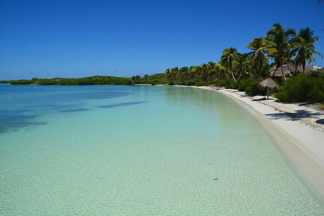 Private Escape: Isla Contoy & Isla Mujeres with Snorkeling - Private speedboat morning from Playa del Carmen