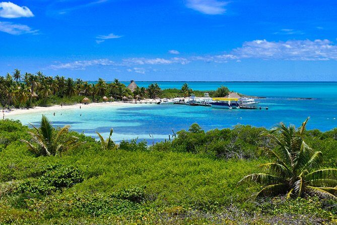 Private Escape: Isla Contoy & Isla Mujeres with Snorkeling - Punta Sam and the reef snorkel: what 40 minutes can do