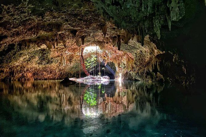 Private Guided Cenotes and Underground River Exploration - Chemuyil open cenote: the bright contrast after the caves